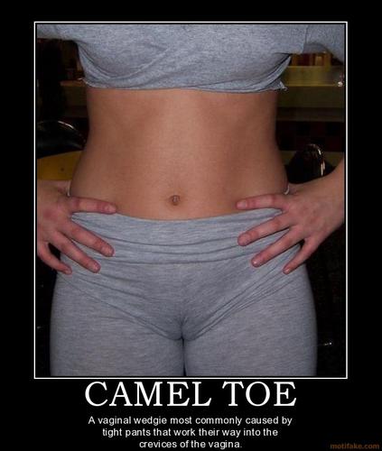 Camel Toe Wicked Emerald Live From Montreal